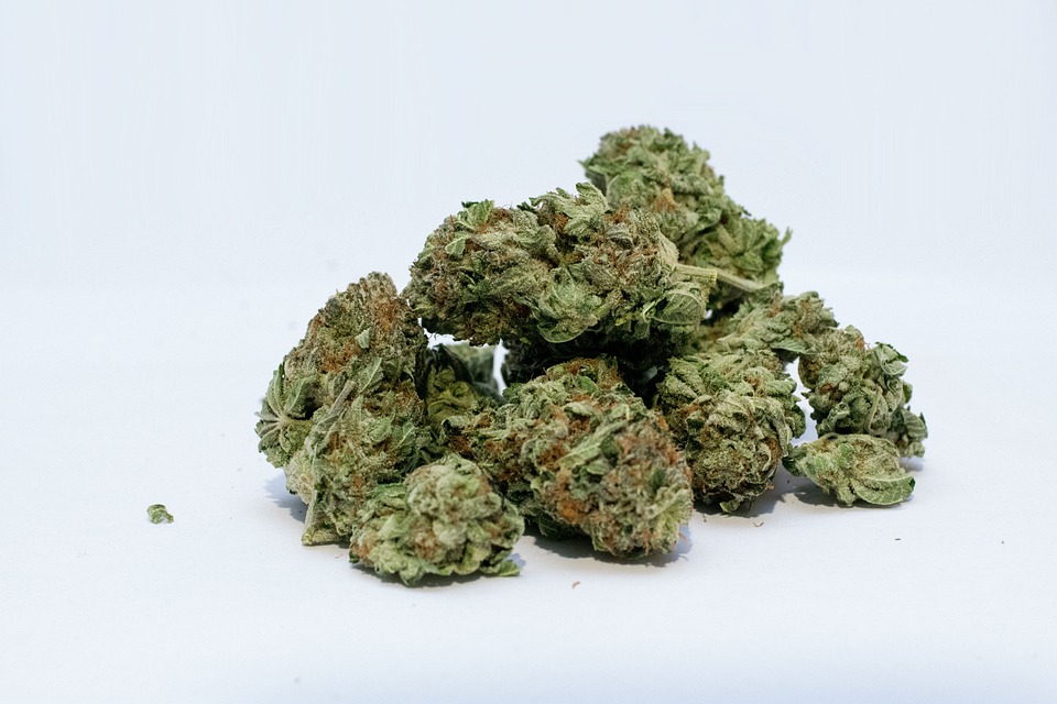 Hemp, Marijuana, THCA flower, Delta 9 THC edibles
